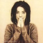 Björk - Debut